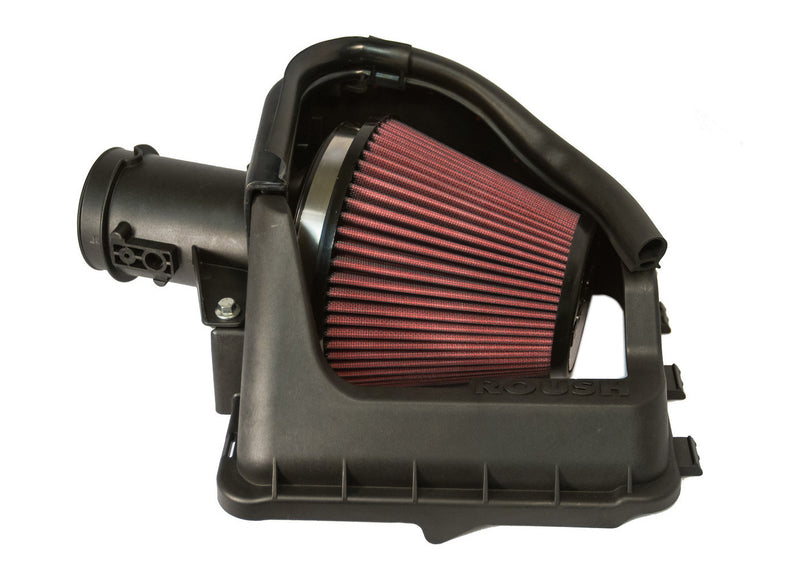 Ford F-150 EcoBoost ROUSH 421641 Performance Intake 2012-2014